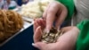 Kazakhstan -- A saleswoman at the dairy department counts coins at the Green Bazaar in Almaty January 23, 2015. 